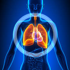 Bilan pulmonaire