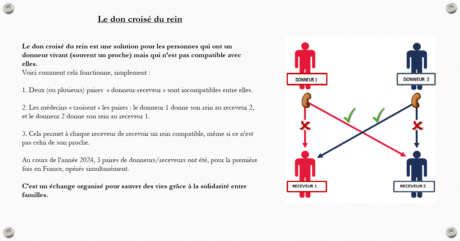 Carte mentale greffe
