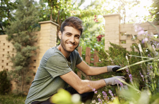 Ménage, jardinage, bricolage