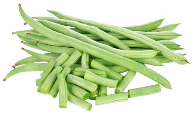 Haricots