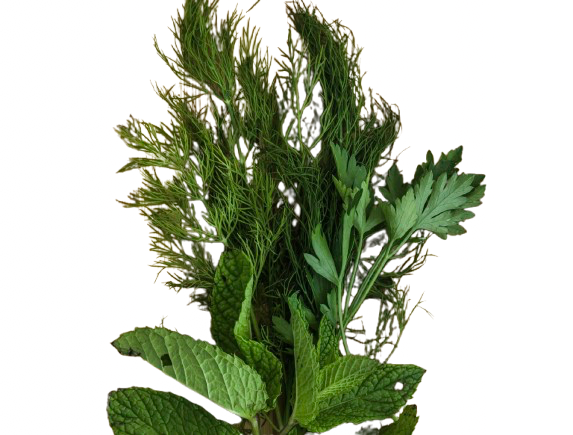 Herbes aromatiques