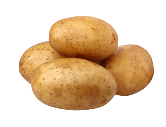 Pomme de terre