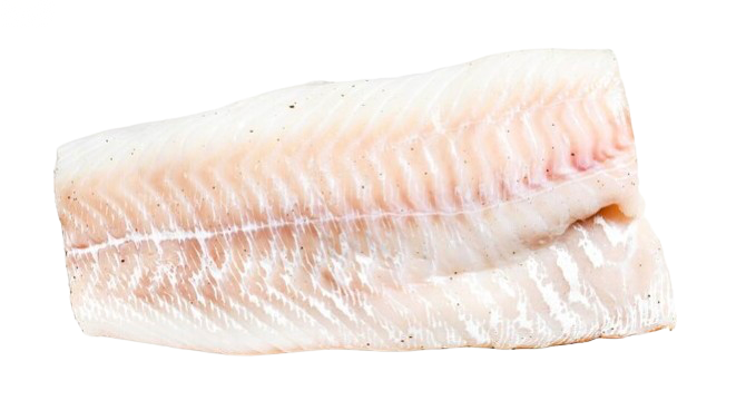 Poisson blanc