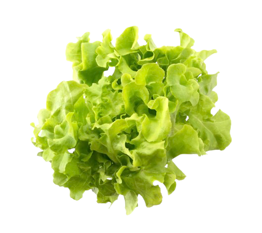 Salade